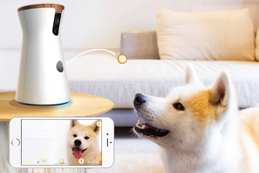 the furbo dog camera