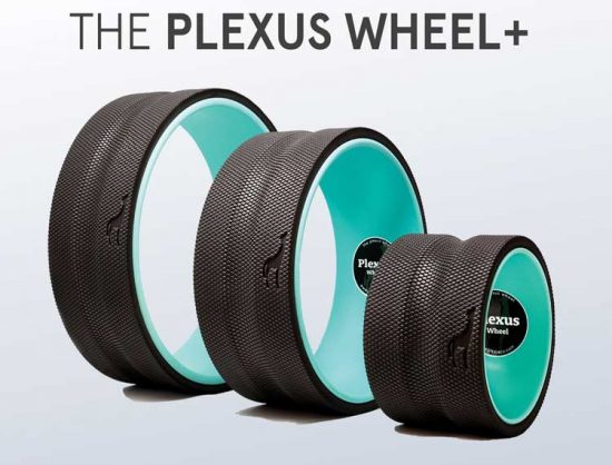 Plexus Wheel The Simplest Back Pain Relief
